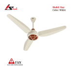 Star White 220V AC Fan