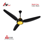 Star Black 220V AC Fan